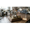Figurine collector
